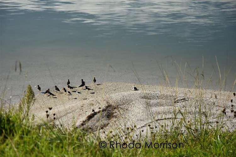 296 Metcalfe Road Matakohe_16