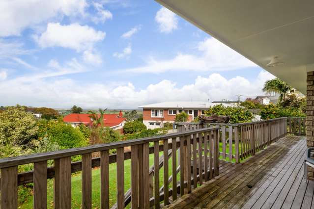 113 Kingsford Place Thames_1