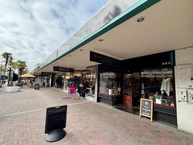 223-225 Emerson Street City Centre_1