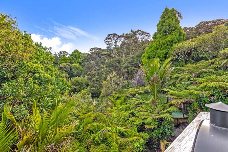 24 Punga Place Whitianga_32