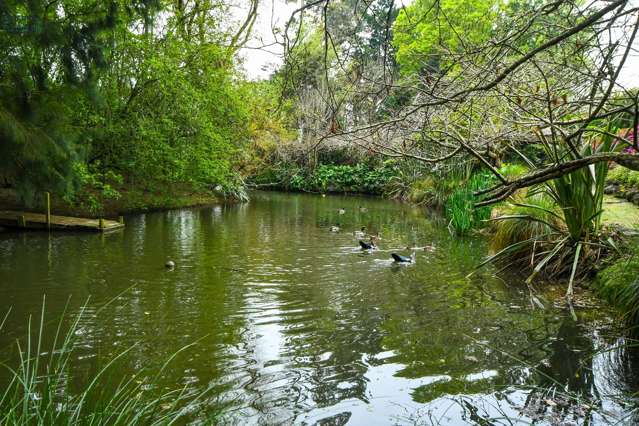 Waiau Pa 11 lovely acres