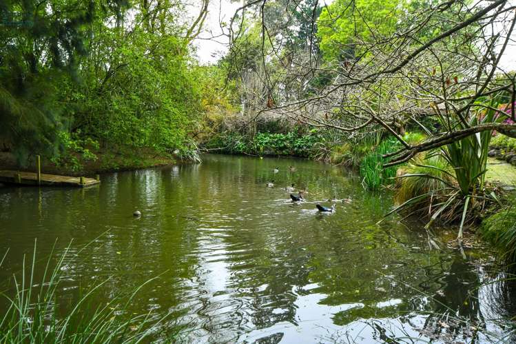 91B Estuary View Road_0