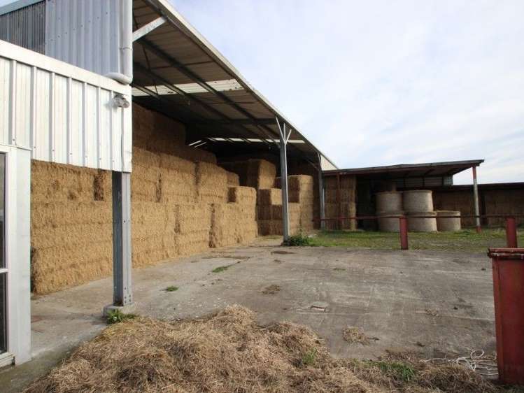 1433 State Highway 3 Turakina_26