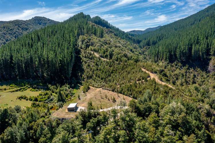 Shenandoah Highway Murchison_6