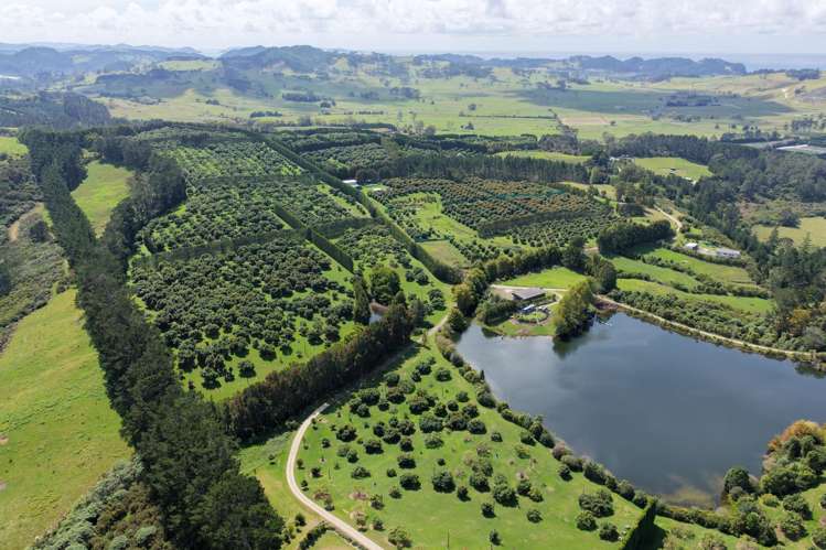 121C Purangi Road Whenuakite_15