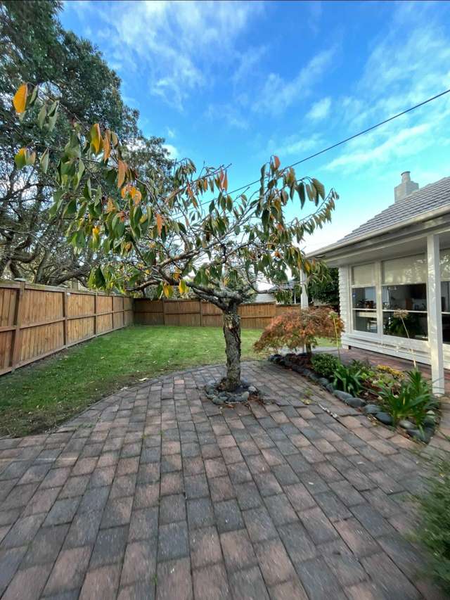 353 Glenfield Road Glenfield_2