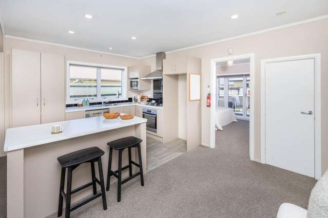 3a Matai Street Maeroa_4