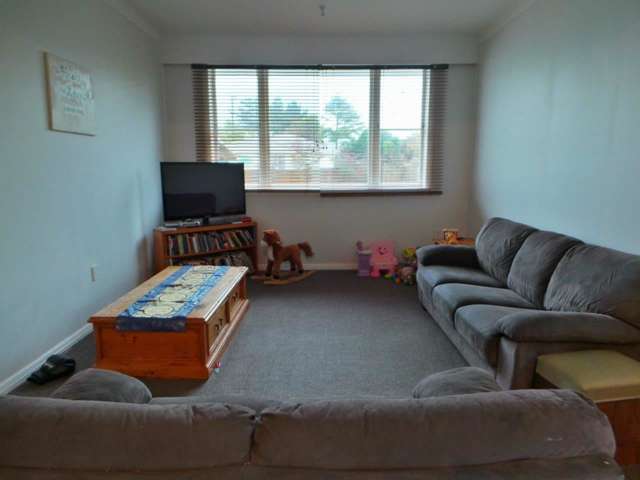 150a Tiro Tiro Road Levin_4