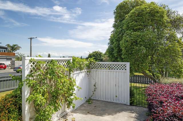 57a Neal Street Putaruru_3