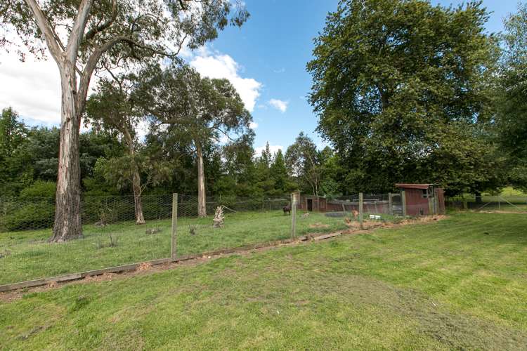 31 Domain Road Waipawa_20