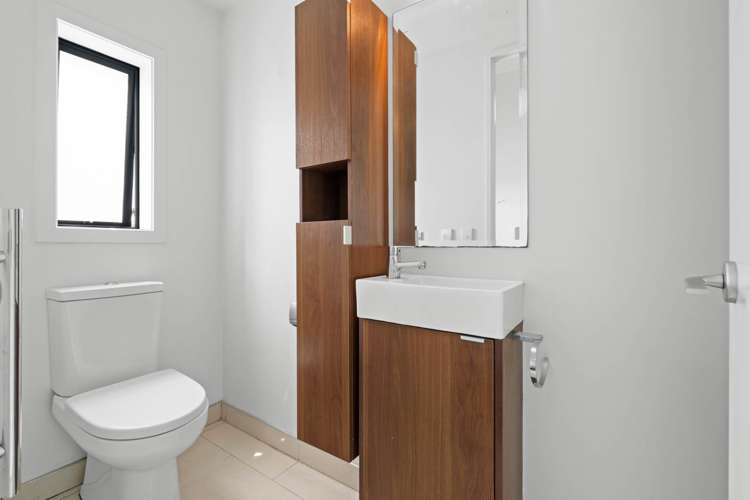 299 Murphys Road Flat Bush_11