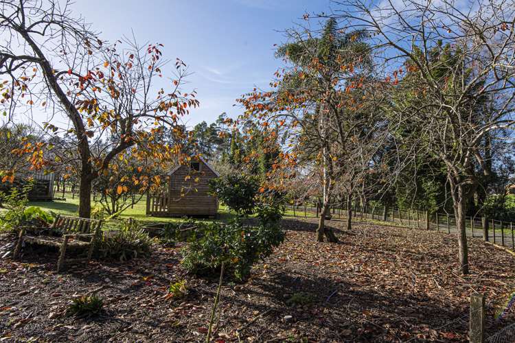 587b Crane Road Kauri_25