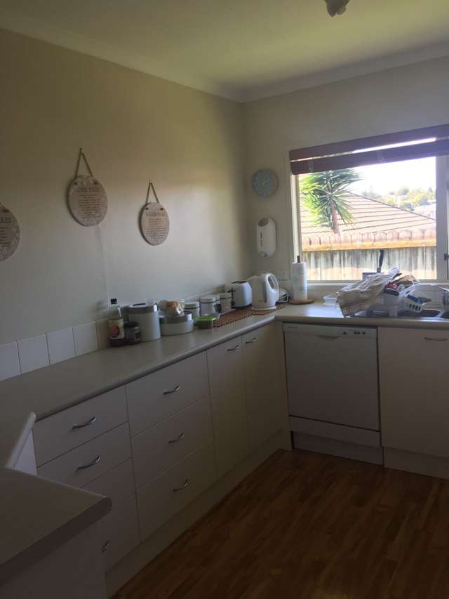 69a Vincent Street Howick_1