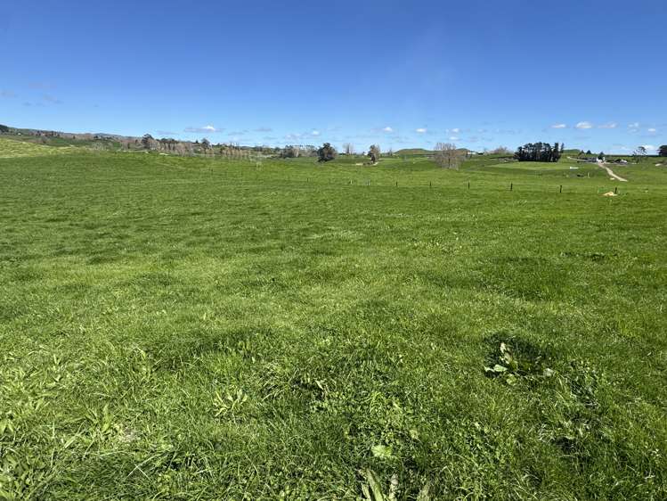 530 Mangatutu Rd RD3 Maihiihi_11
