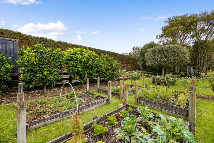 36 Roto O Rangi Road Leamington_26