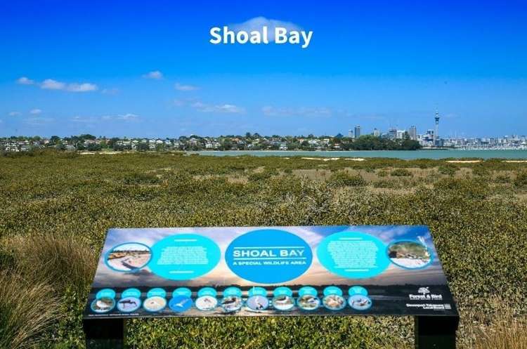 21a Walter Street Hauraki_17