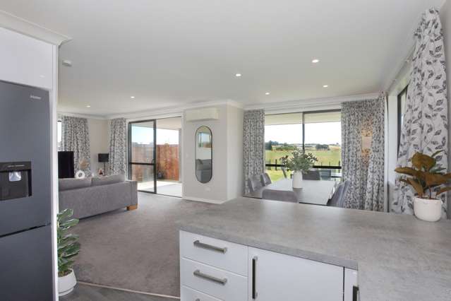 6 George Street Bulls_4