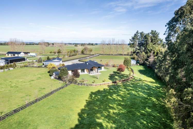 255 Calico Line Marton_35