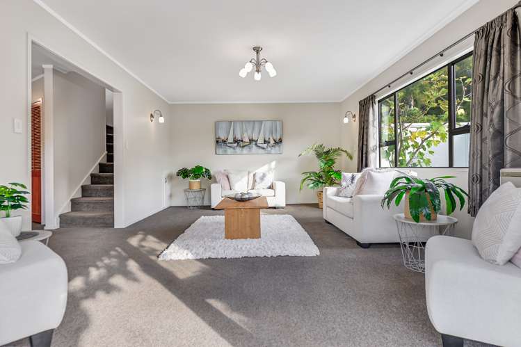 58a Boundary Road Claudelands_7