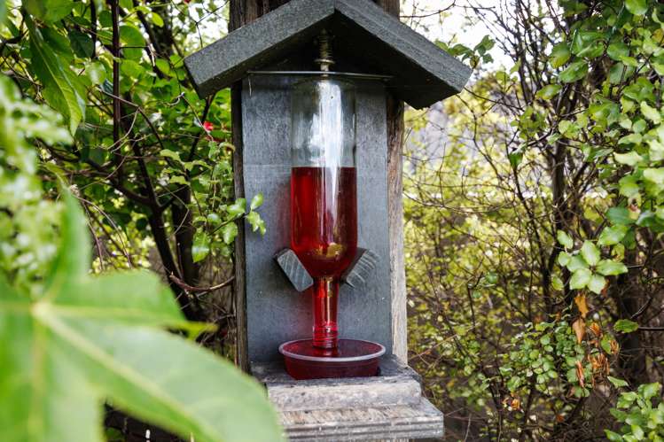 49 Rodeo Drive Kelvin Grove_24