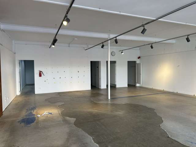 41 Clyde Road Browns Bay_2