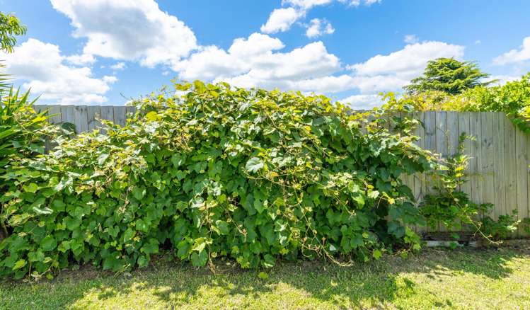 114 Rosser Street Huntly_27