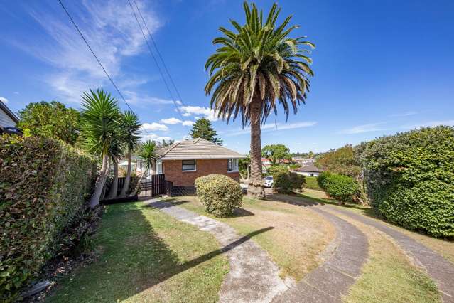 477A Mount Albert Road Mount Roskill_1