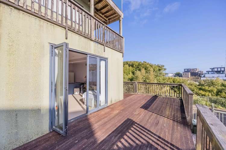 61a Goodall Street Hillsborough_3