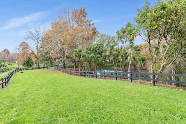 Woodlyn Drive Karaka_3