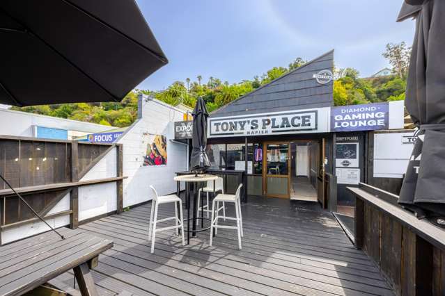 29 Carlyle Street Napier South_1