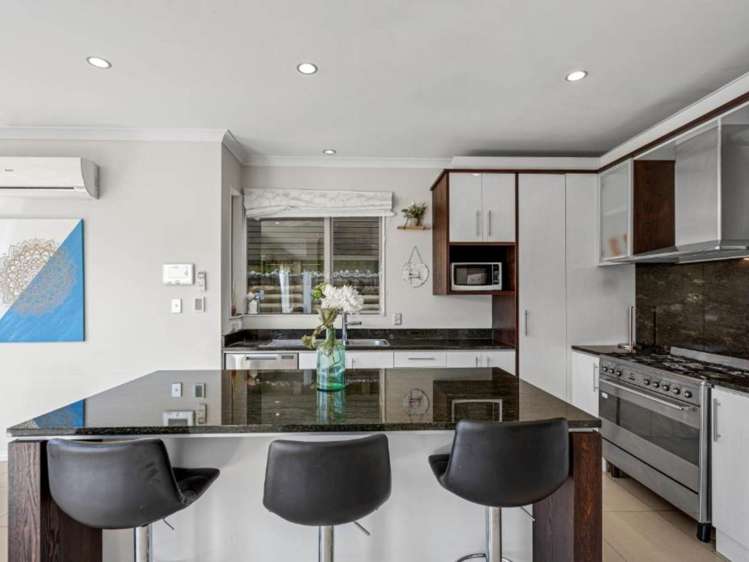 51 Coachman Drive Flat Bush_2