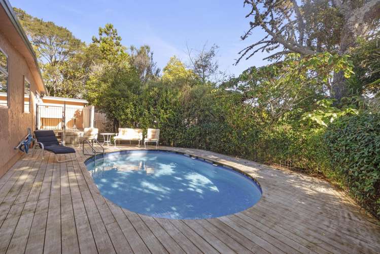 97 Seabrook Avenue New Lynn_12