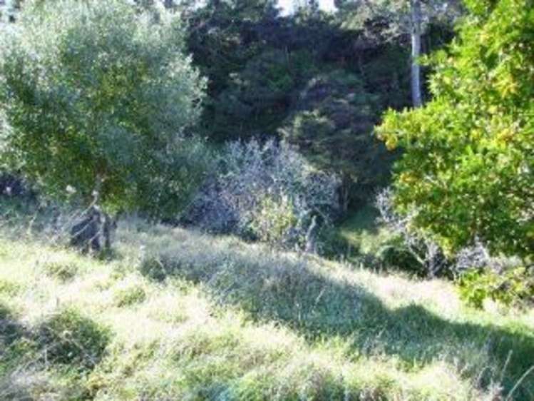 3b Pohutukawa Grove Whitianga_4