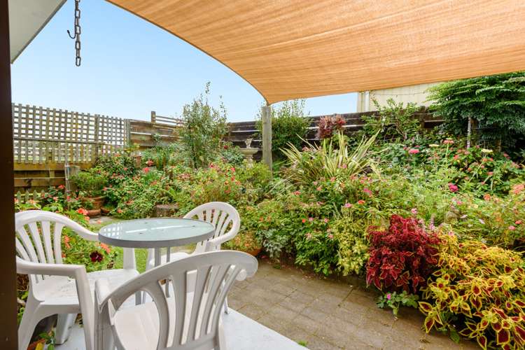 72b Otumoetai Road Judea_15