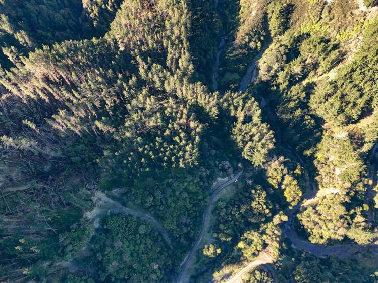 322 Creek Road Mangamahu_14