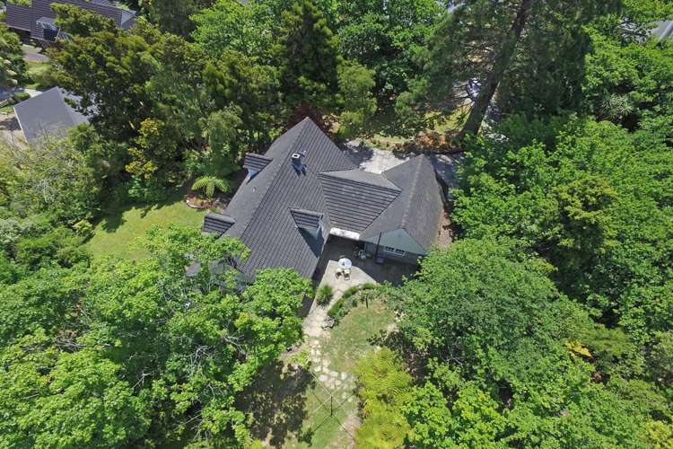 1266 Fergusson Drive Brown Owl_4