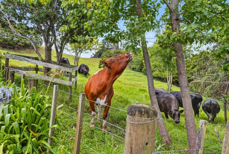 421 Wharehine Road Wellsford_18