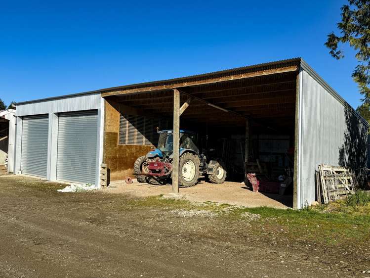 125B Davidson Road Mimihau_10