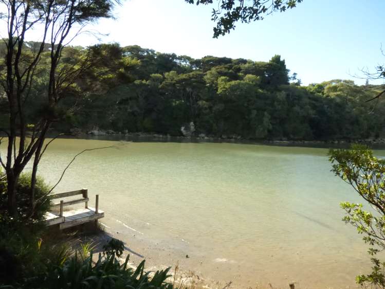 6 Ryan Road Te Akau_17