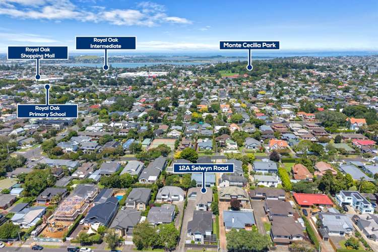 12A Selwyn Road Epsom_27