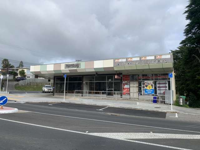 5 Tomo Street New Lynn_1