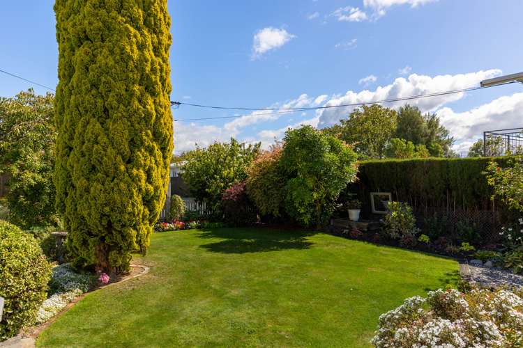 269 Scott Street Witherlea_22