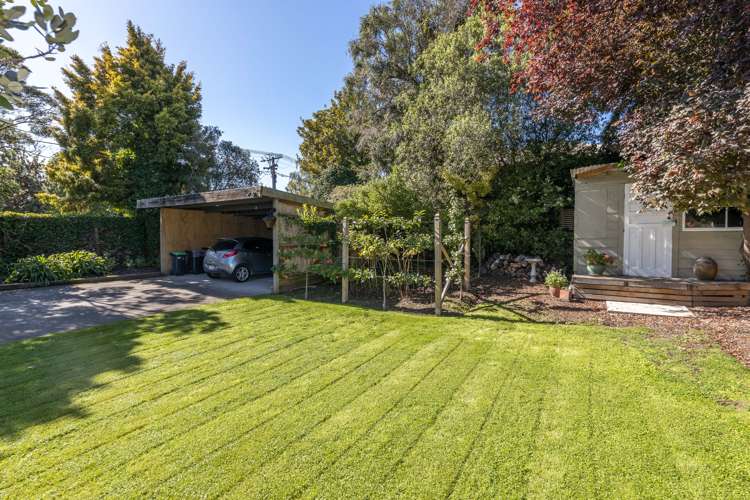 11 Aynsley Terrace Hillsborough_16