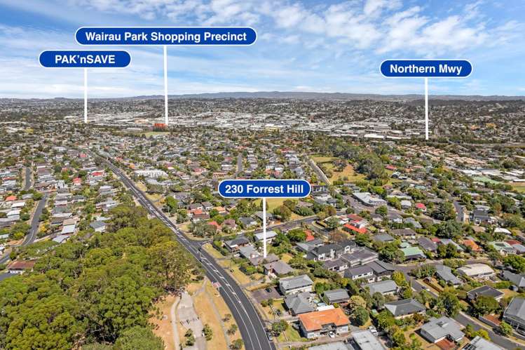 230 Forrest Hill Road Forrest Hill_22