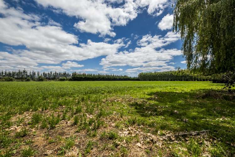 144 School Road Culverden_6