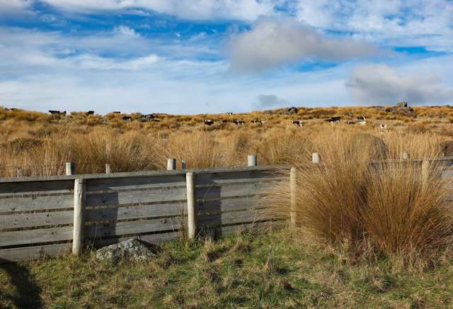 549 Omaui Road Omaui_3