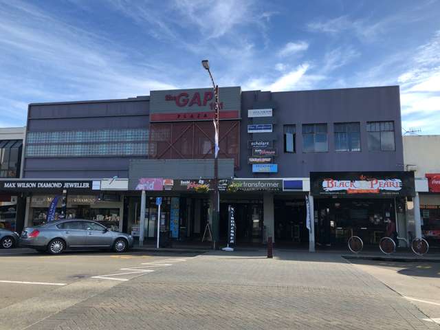 81 Broadway Avenue Palmerston North Central, Palmerston North_2
