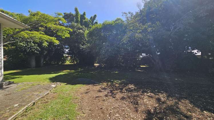 275a Carrington Street Vogeltown_19