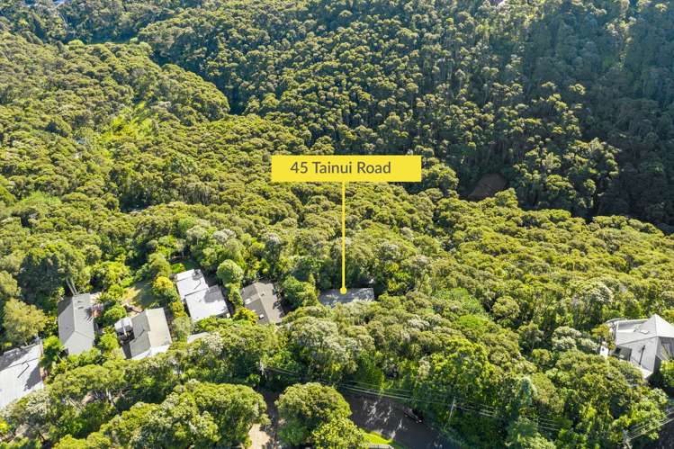 45 Tainui Road Titirangi_26