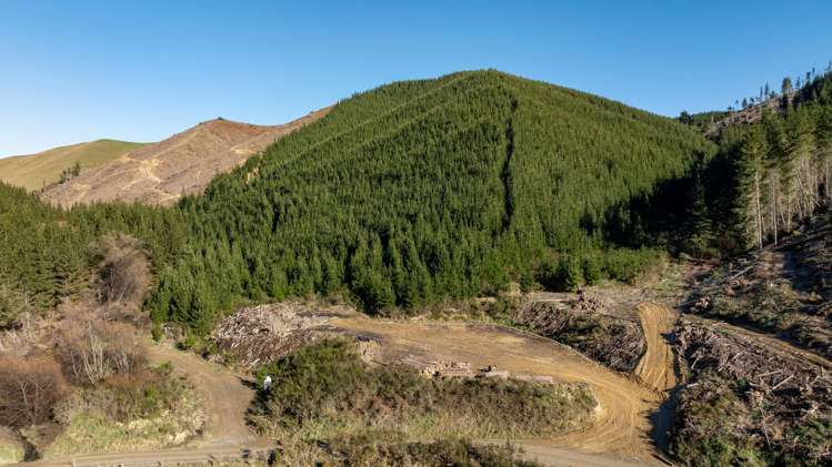 Motueka Valley Highway - Rabbit Gully Motueka Valley_4